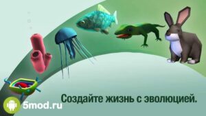 Эволюция никогда заканчивается