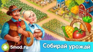 Homesteads