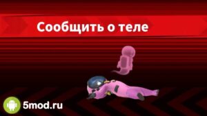Super Sus