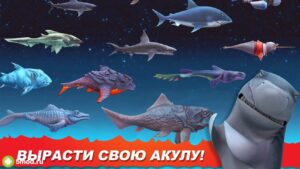 Hungry Shark Evolution