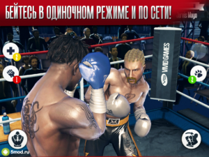 Real Boxing™
