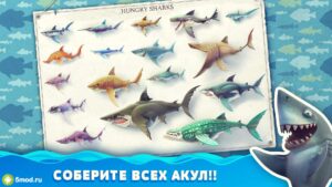 Hungry Shark World