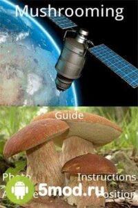 Mushrooming