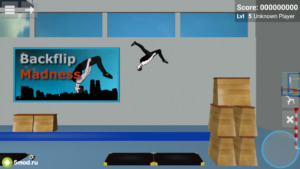 Backflip Madness