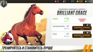Состязание звезд: скачки