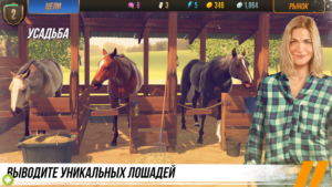 Состязание звезд: скачки