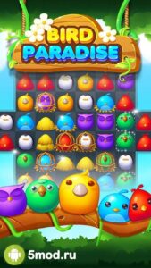 Bird Paradise
