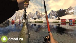 Professional Fishing