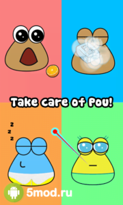 Pou