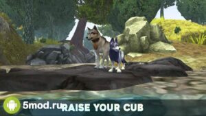 Wolf Tales