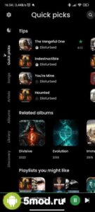 RiMusic (YouTube Music Client)