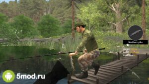 Professional Fishing 2